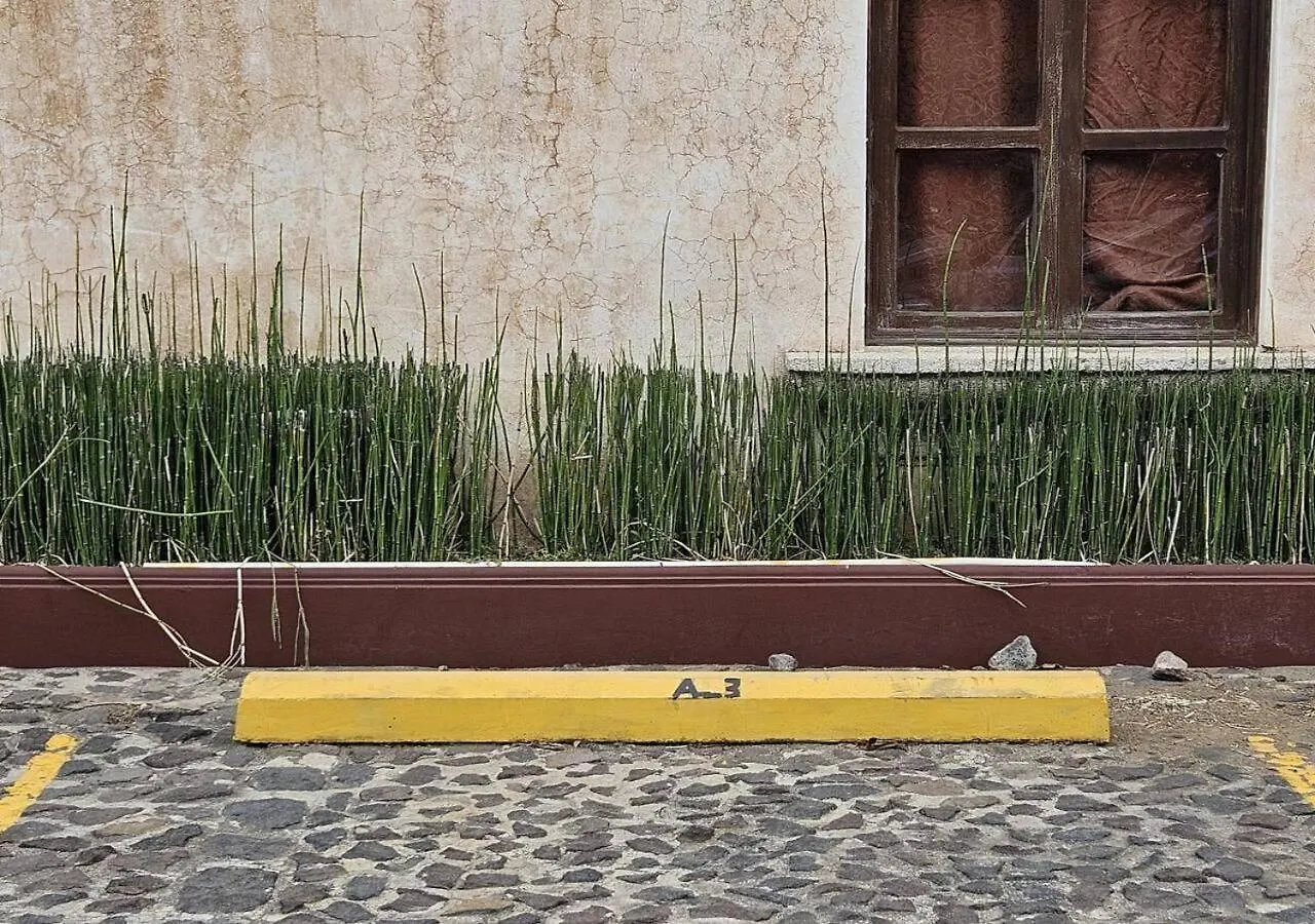 Villa Art Deco Loft - Petfriendly - 5 Min To Antigua Ctr Guatemala